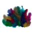 Guinea Hen Plumage Craft Feathers